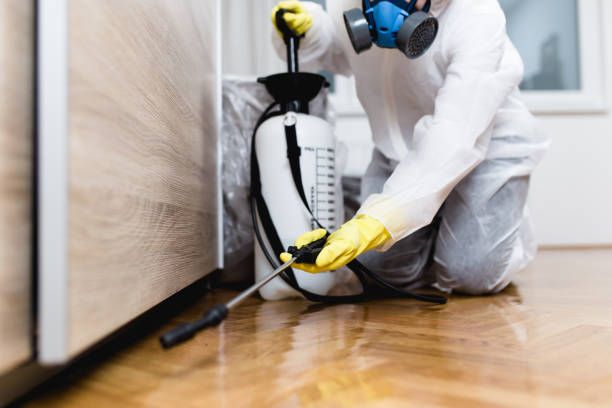 Best Wasp Removal Services  in South Greensburg, PA