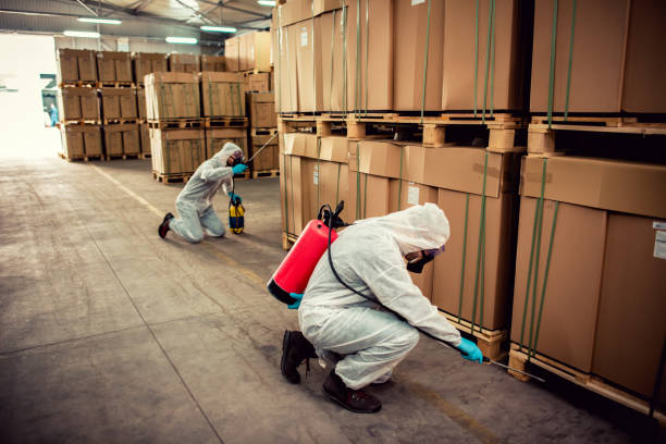 Best Commercial Pest Control Services  in South Greensburg, PA
