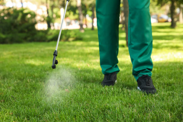 Best Affordable Pest Control Services  in South Greensburg, PA