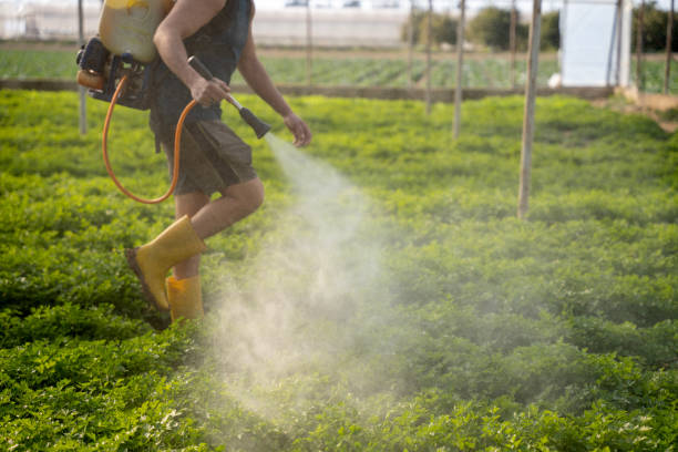 Best Affordable Pest Control Services  in South Greensburg, PA