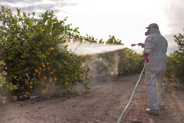 Best Emergency Pest Control  in South Greensburg, PA