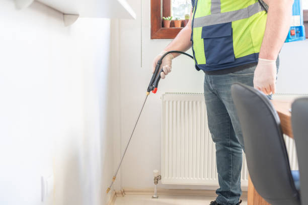Reliable South Greensburg, PA Pest Control Solutions