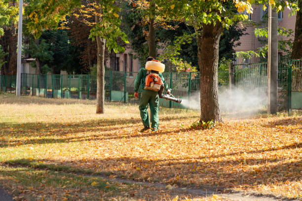 Wildlife Control Services in South Greensburg, PA