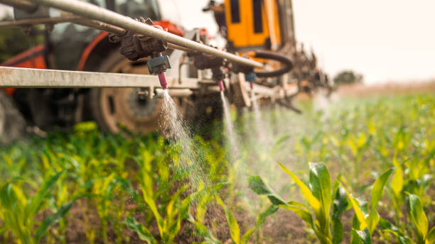 Best Pest Removal Services  in South Greensburg, PA